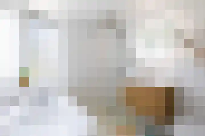 Johannes Doornbosstrjitte 4 Blije thumbnail 41
