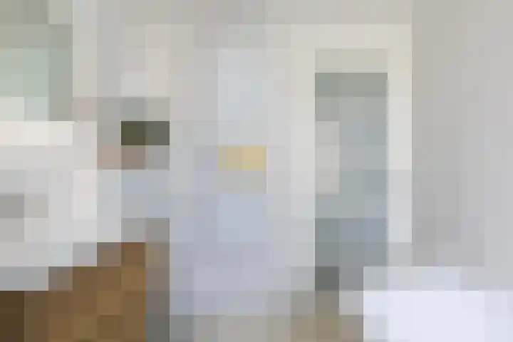 Johannes Doornbosstrjitte 4 Blije thumbnail 42