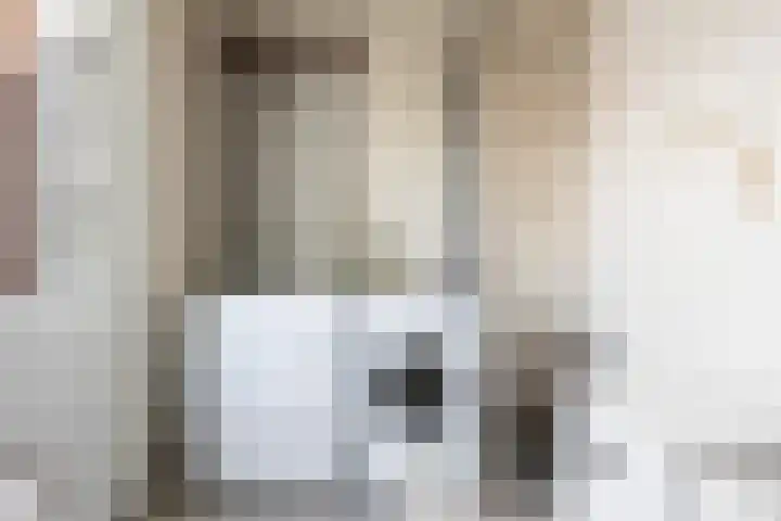Johannes Doornbosstrjitte 4 Blije thumbnail 44
