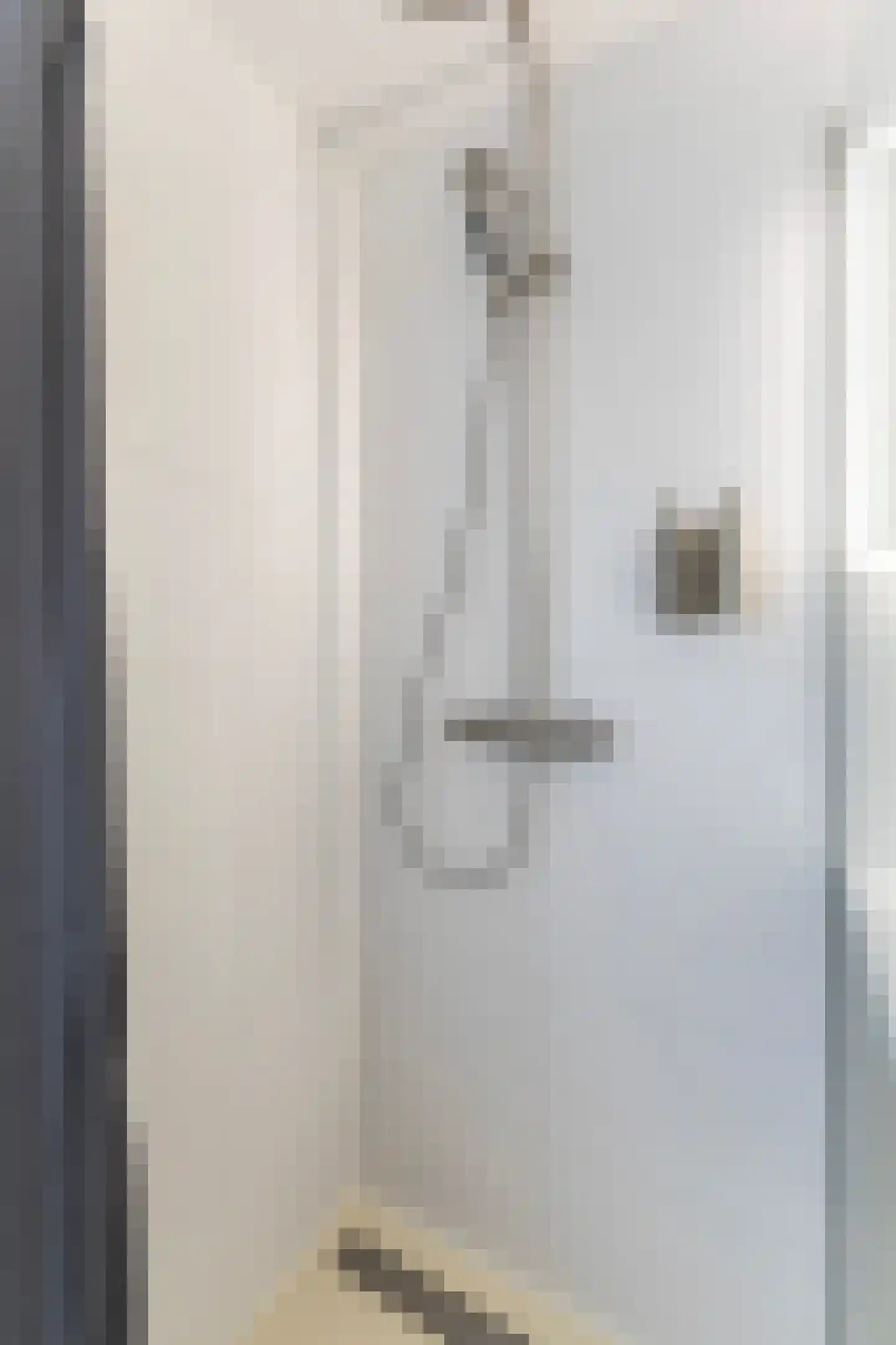 Johannes Doornbosstrjitte 4 Blije thumbnail 44