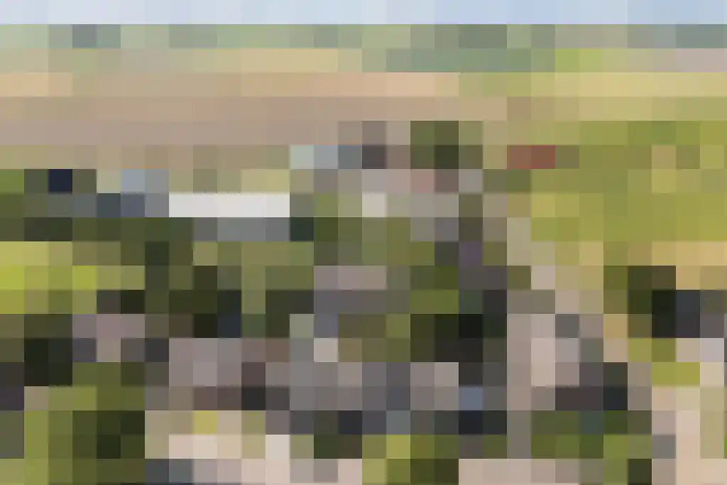 Johannes Doornbosstrjitte 4 Blije thumbnail 45