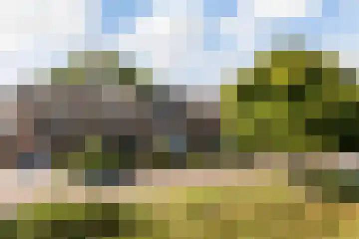 Johannes Doornbosstrjitte 4 Blije thumbnail 45