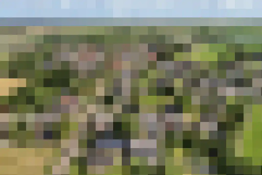 Johannes Doornbosstrjitte 4 Blije thumbnail 46