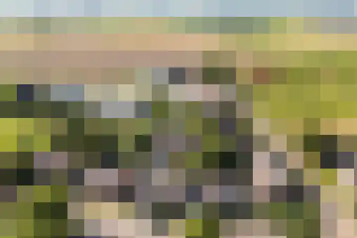 Johannes Doornbosstrjitte 4 Blije thumbnail 46