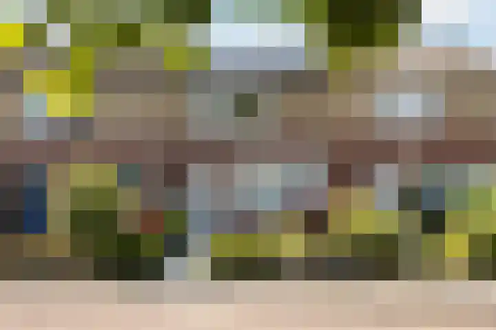 Johannes Doornbosstrjitte 4 Blije thumbnail 48