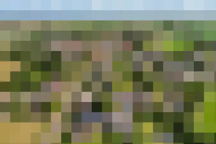Johannes Doornbosstrjitte 4 Blije thumbnail 49