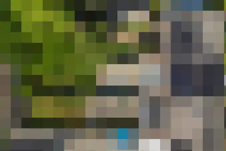 Johannes Doornbosstrjitte 4 Blije thumbnail 50