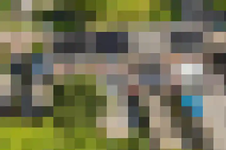 Johannes Doornbosstrjitte 4 Blije thumbnail 51