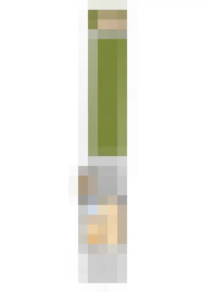 Johannes Doornbosstrjitte 4 Blije thumbnail 55