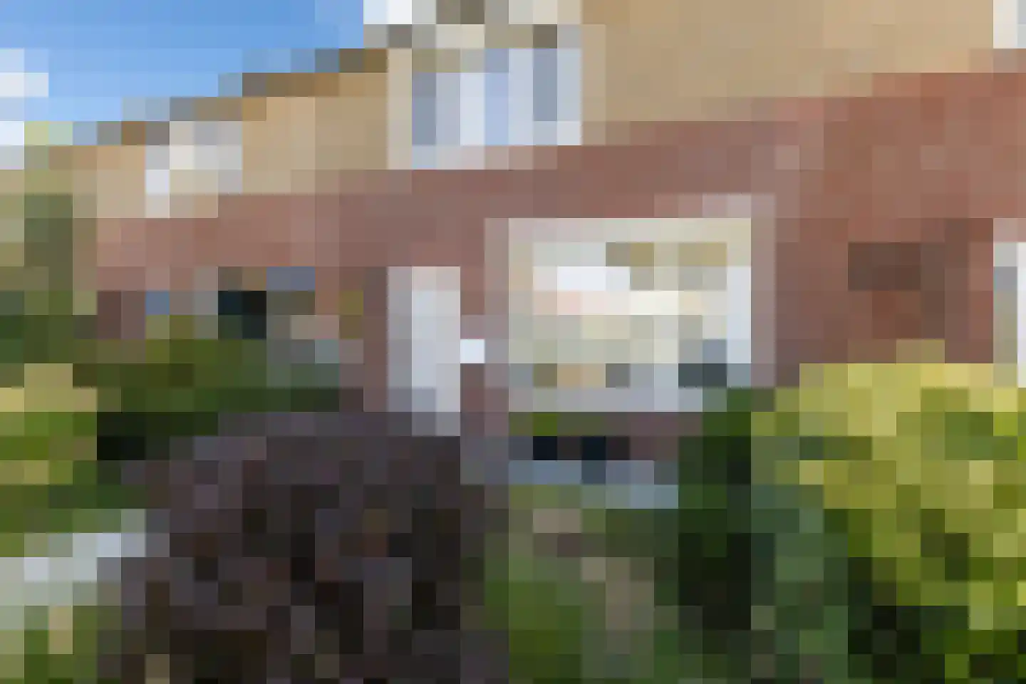 Johannes Doornbosstrjitte 4 Blije thumbnail 6