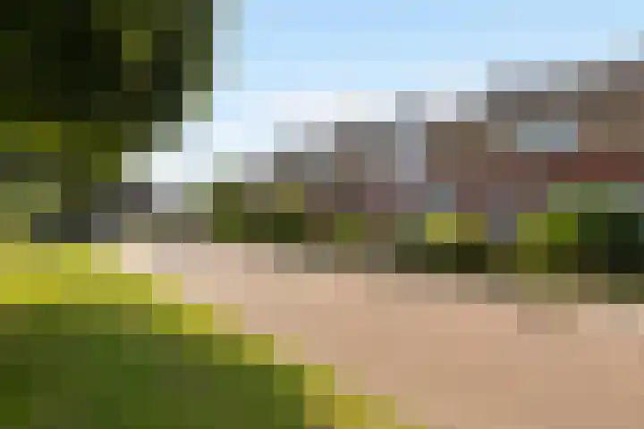 Johannes Doornbosstrjitte 4 Blije thumbnail 7
