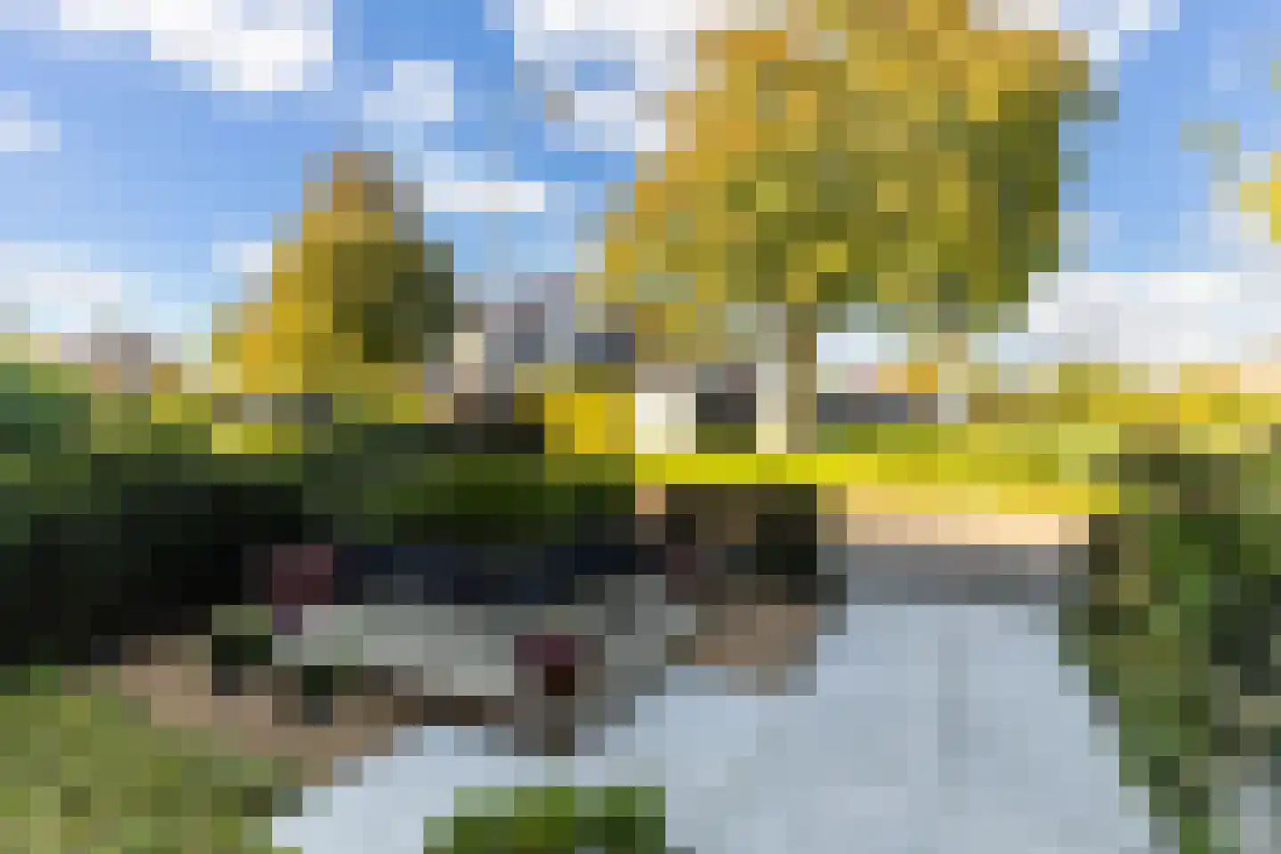 Johannes Doornbosstrjitte 4 Blije thumbnail 7