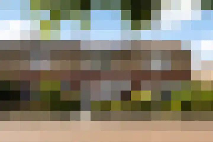 Johannes Doornbosstrjitte 4 Blije thumbnail 9
