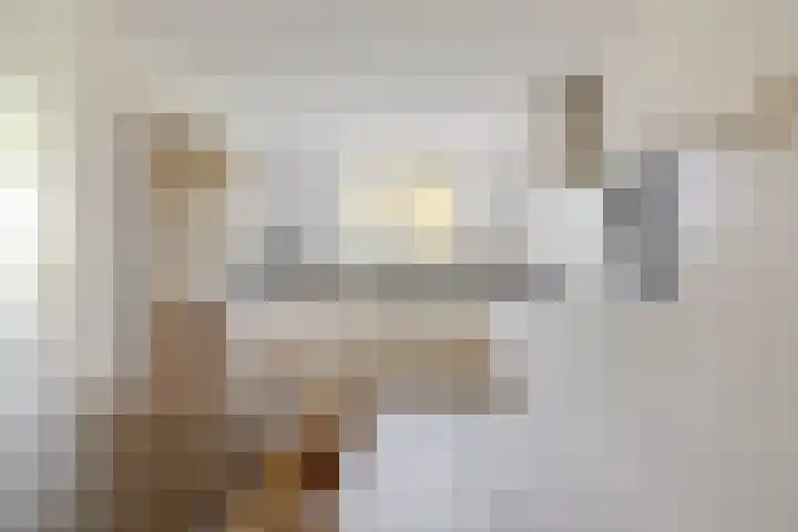 Johannes Doustraat 1 Middenbeemster thumbnail 16