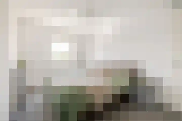 Johannes Doustraat 1 Middenbeemster thumbnail 21
