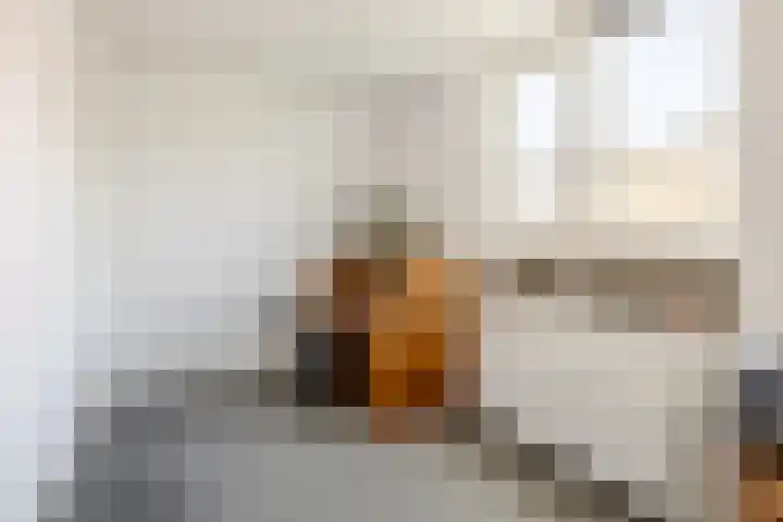 Johannes Doustraat 1 Middenbeemster thumbnail 25