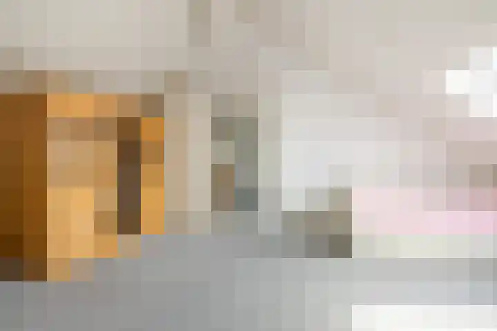 Johannes Doustraat 1 Middenbeemster thumbnail 32