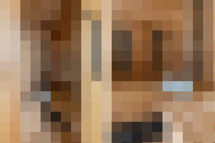 Johannes Doustraat 1 Middenbeemster thumbnail 33