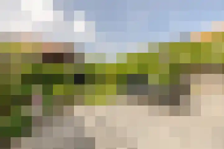 Johannes Doustraat 1 Middenbeemster thumbnail 34
