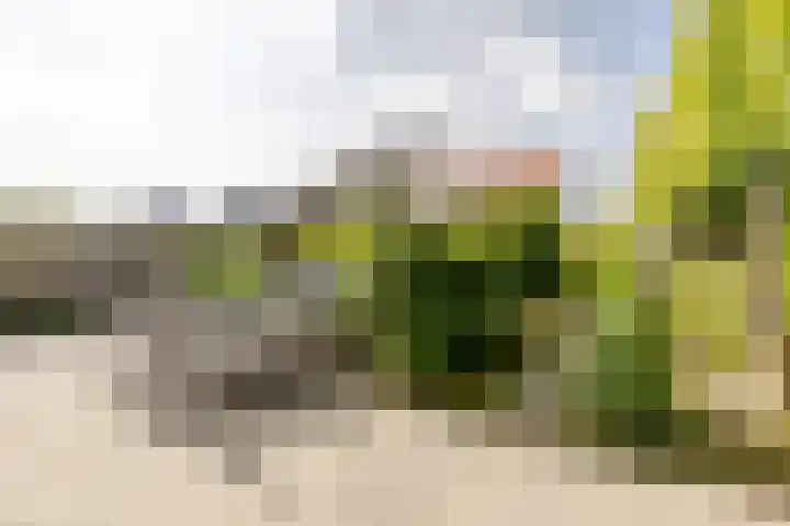 Johannes Doustraat 1 Middenbeemster thumbnail 35