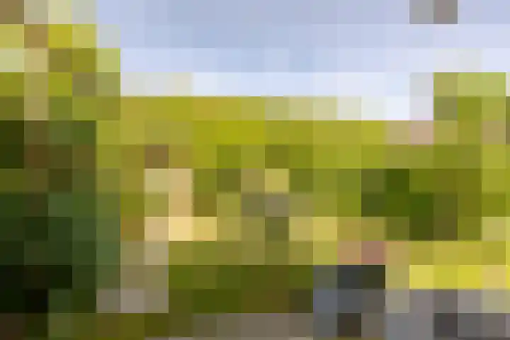 Johannes Doustraat 1 Middenbeemster thumbnail 37