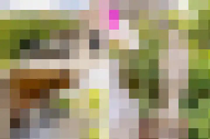 Johannes Doustraat 1 Middenbeemster thumbnail 38