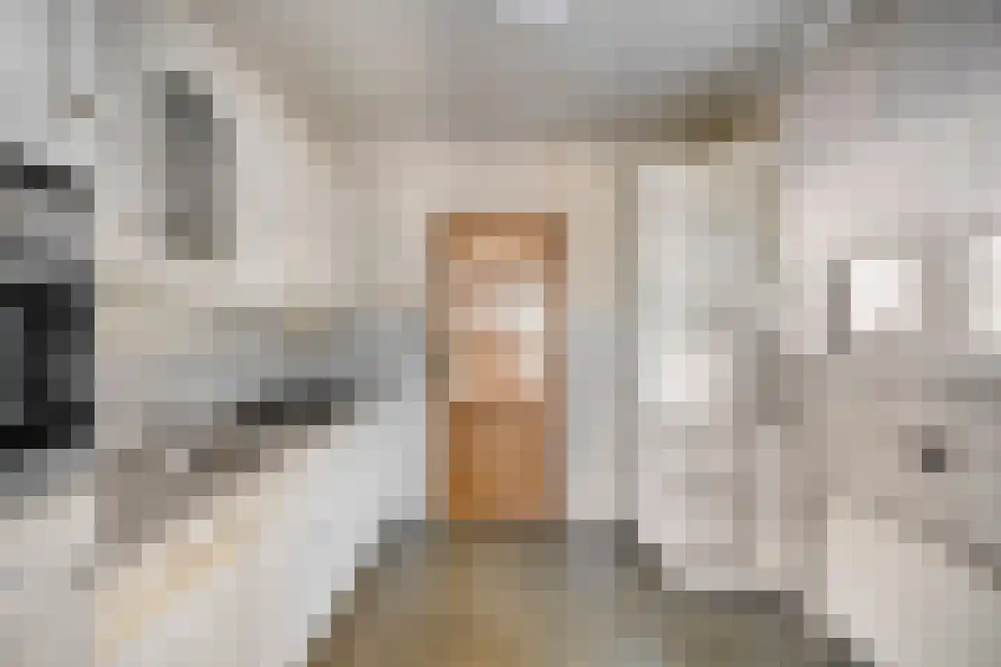 Johannes Douvenstraat 2 Herkenbosch thumbnail 7
