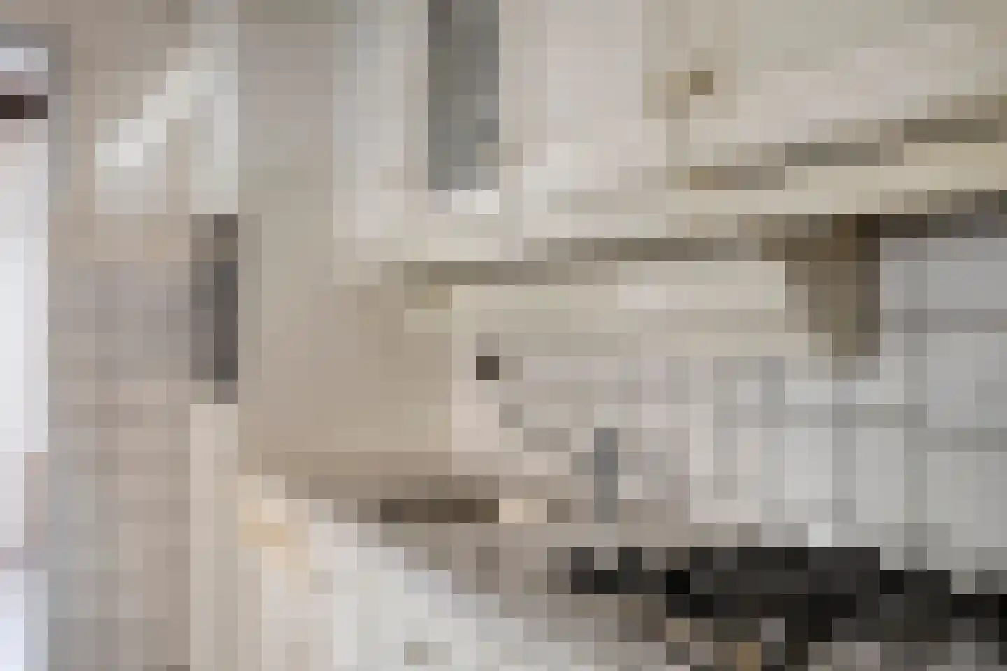 Johannes Douvenstraat 2 Herkenbosch thumbnail 8