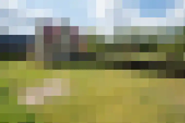 Johannes Durksloane 2 Damwâld thumbnail 10