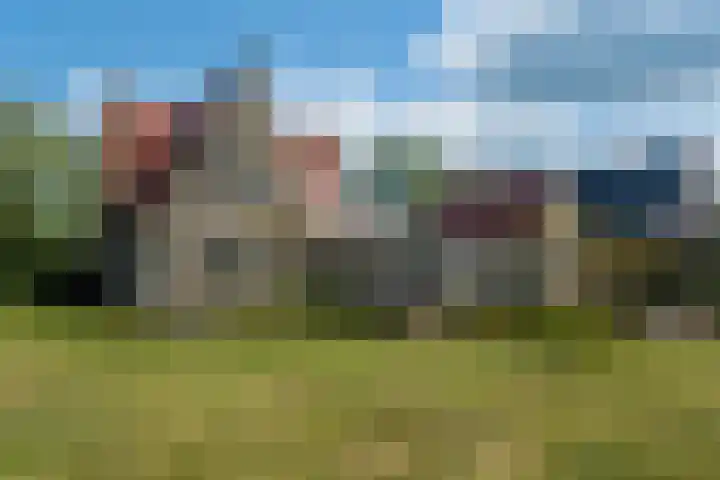 Johannes Durksloane 2 Damwâld thumbnail 100