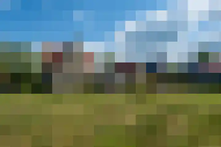 Johannes Durksloane 2 Damwâld thumbnail 101