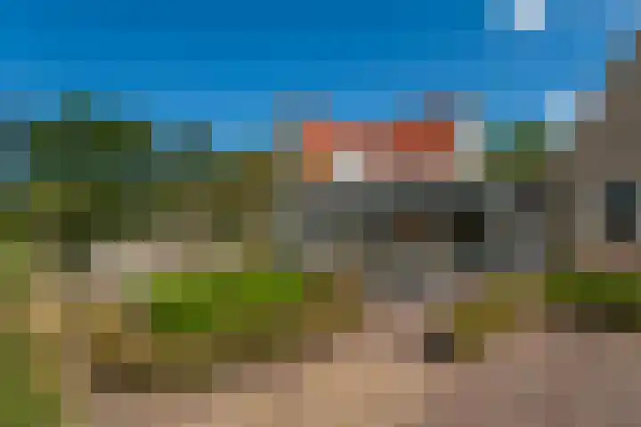 Johannes Durksloane 2 Damwâld thumbnail 103