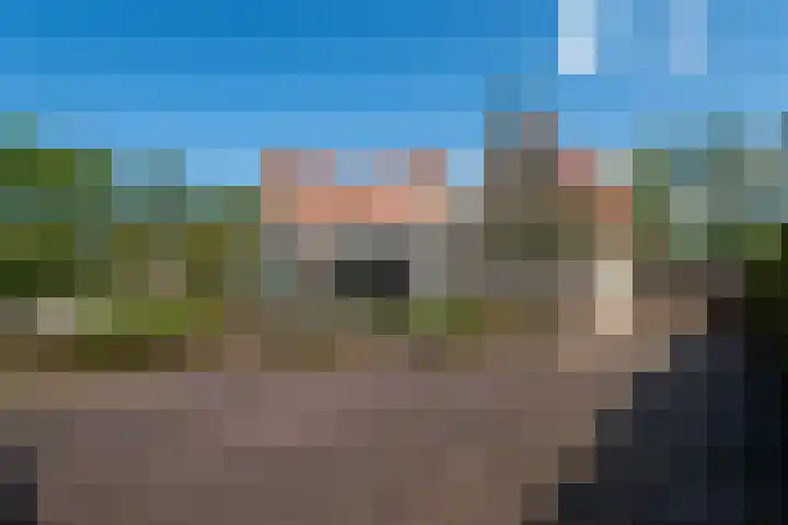 Johannes Durksloane 2 Damwâld thumbnail 104