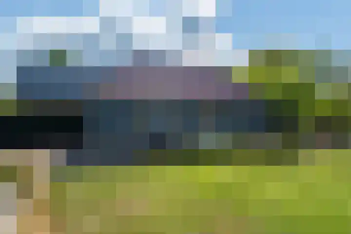 Johannes Durksloane 2 Damwâld thumbnail 105