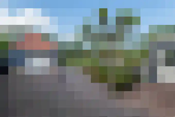 Johannes Durksloane 2 Damwâld thumbnail 106