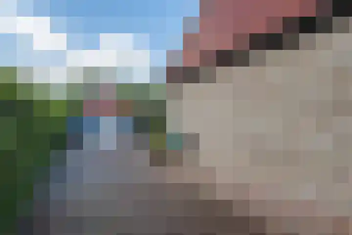Johannes Durksloane 2 Damwâld thumbnail 107