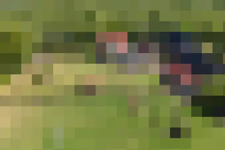 Johannes Durksloane 2 Damwâld thumbnail 108