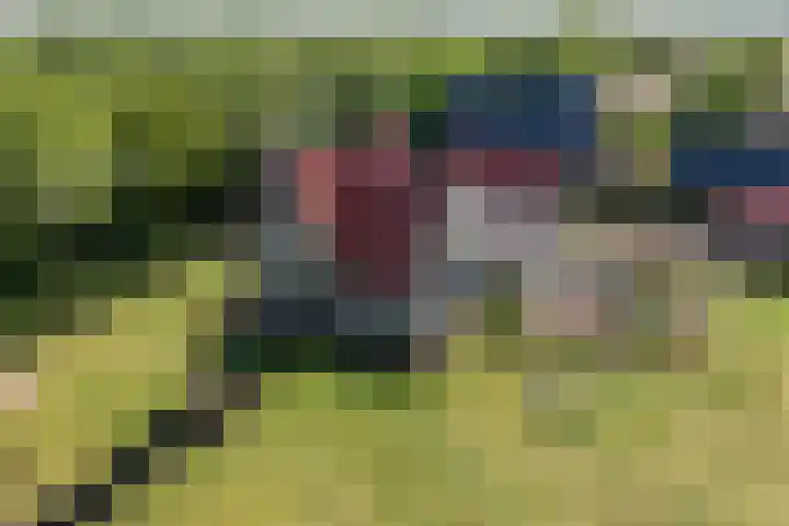 Johannes Durksloane 2 Damwâld thumbnail 109