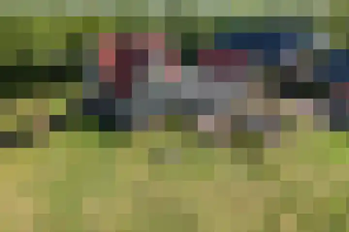 Johannes Durksloane 2 Damwâld thumbnail 110