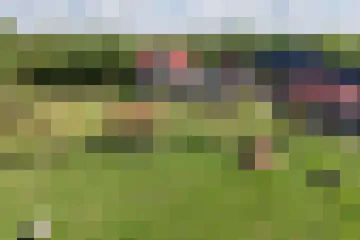 Johannes Durksloane 2 Damwâld thumbnail 111