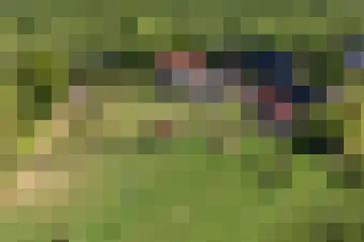 Johannes Durksloane 2 Damwâld thumbnail 112