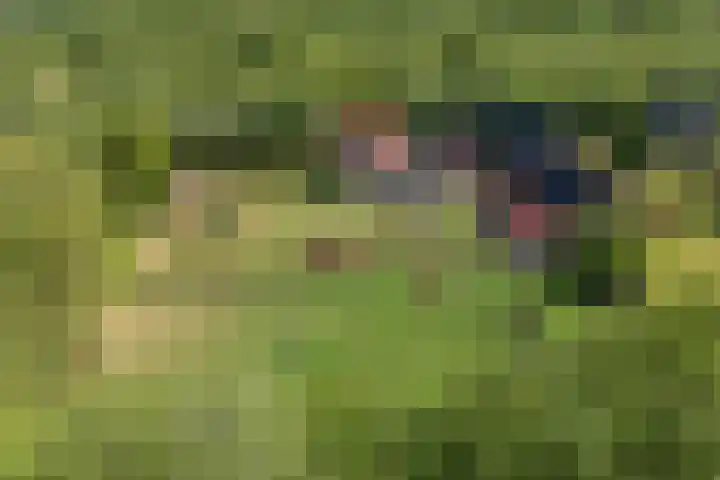 Johannes Durksloane 2 Damwâld thumbnail 113