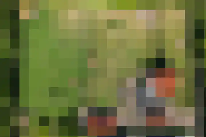 Johannes Durksloane 2 Damwâld thumbnail 114