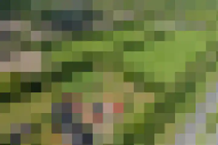 Johannes Durksloane 2 Damwâld thumbnail 115