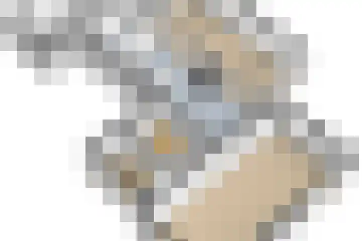 Johannes Durksloane 2 Damwâld thumbnail 118