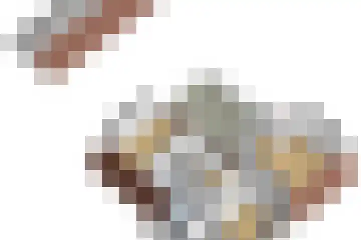 Johannes Durksloane 2 Damwâld thumbnail 119