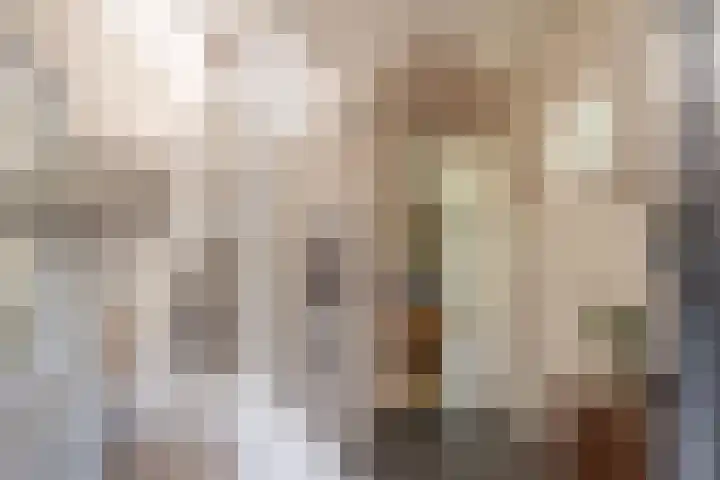 Johannes Durksloane 2 Damwâld thumbnail 12