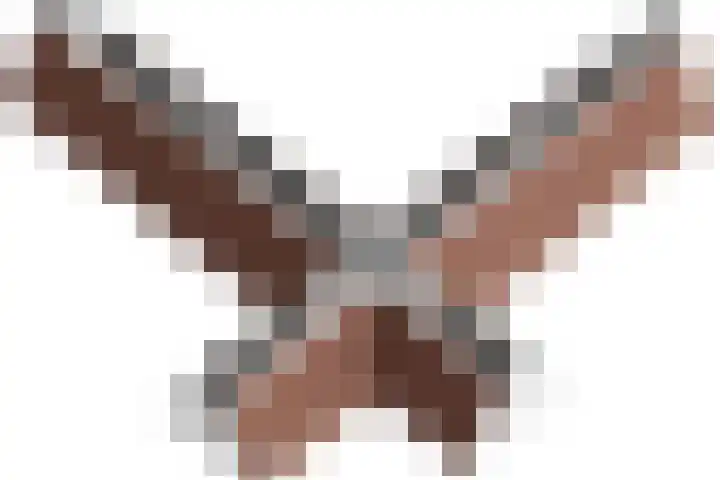 Johannes Durksloane 2 Damwâld thumbnail 122