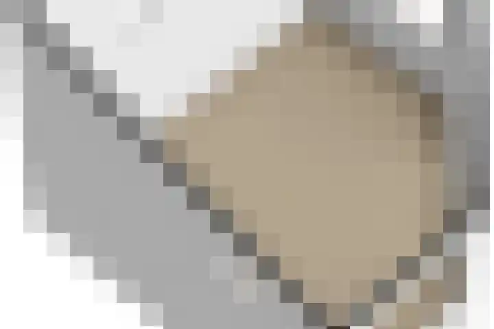 Johannes Durksloane 2 Damwâld thumbnail 128
