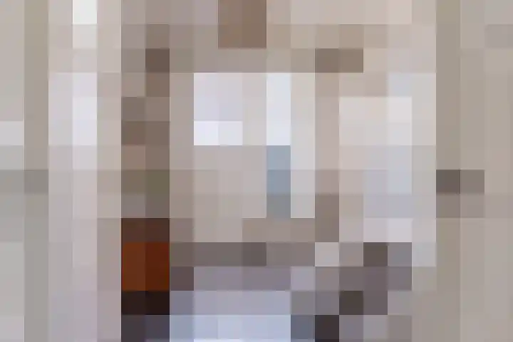 Johannes Durksloane 2 Damwâld thumbnail 13